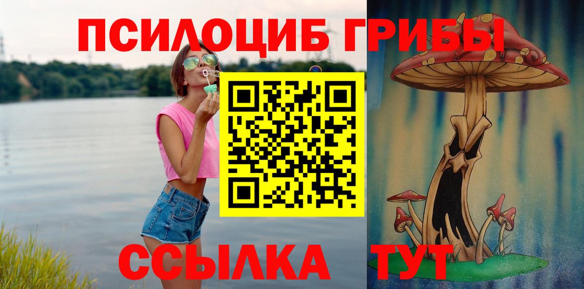 Скопин  магазин продажи   Вход с VPN  Галлюциногенные грибы прущие грибы 